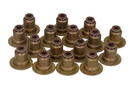 Seal Set, valve stem
