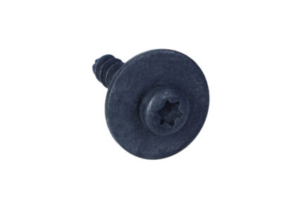 SCREW VW EOS 2.0 07-